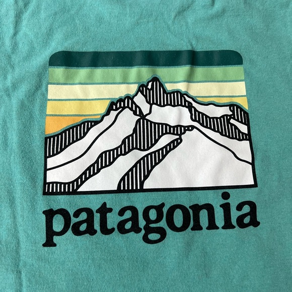 Patagonia Other - Mens Patagonia T-shirt size M